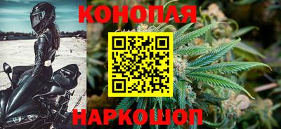 дмт Тара
