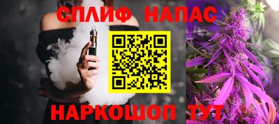 дмт Тара